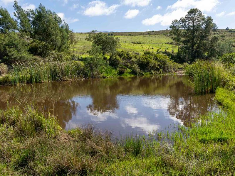 Farm For Sale in Riversdale, Western Cape - Photo 3