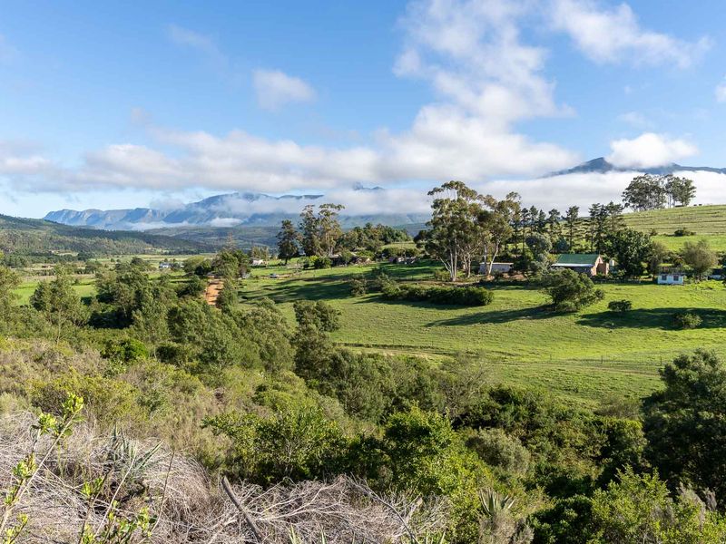 Farm For Sale in Riversdale, Western Cape - Photo 2