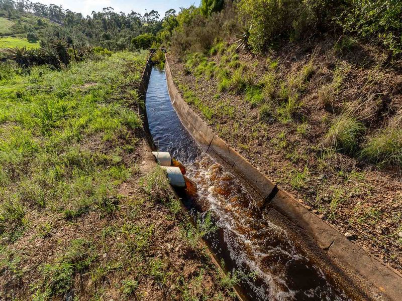 Farm For Sale in Riversdale, Western Cape - Photo 10