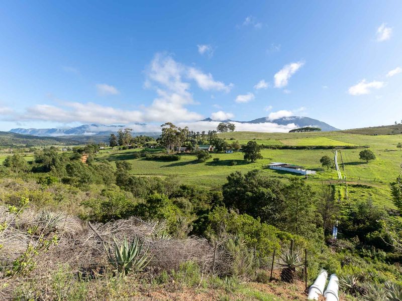 Farm For Sale in Riversdale, Western Cape - Photo 9