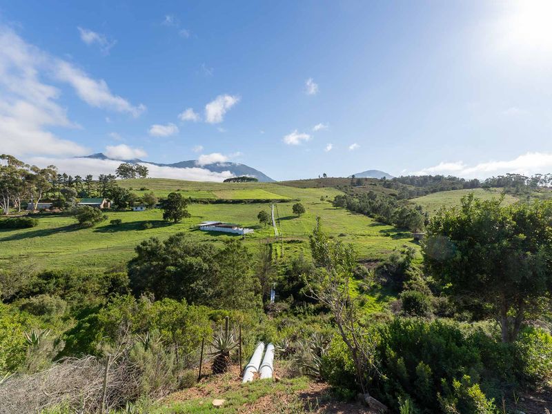 Farm For Sale in Riversdale, Western Cape - Photo 8