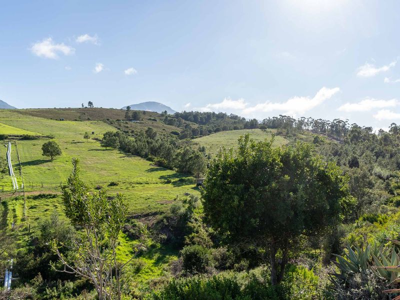 Farm For Sale in Riversdale, Western Cape - Photo 7