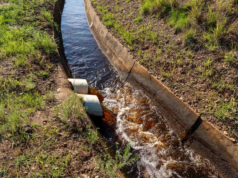 Farm For Sale in Riversdale, Western Cape - Photo 4