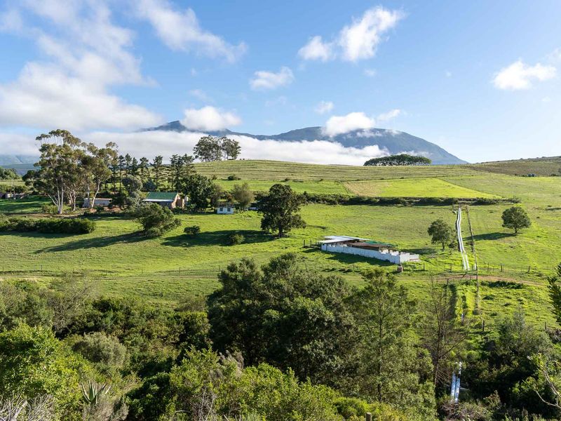 Farm For Sale in Riversdale, Western Cape - Photo 6