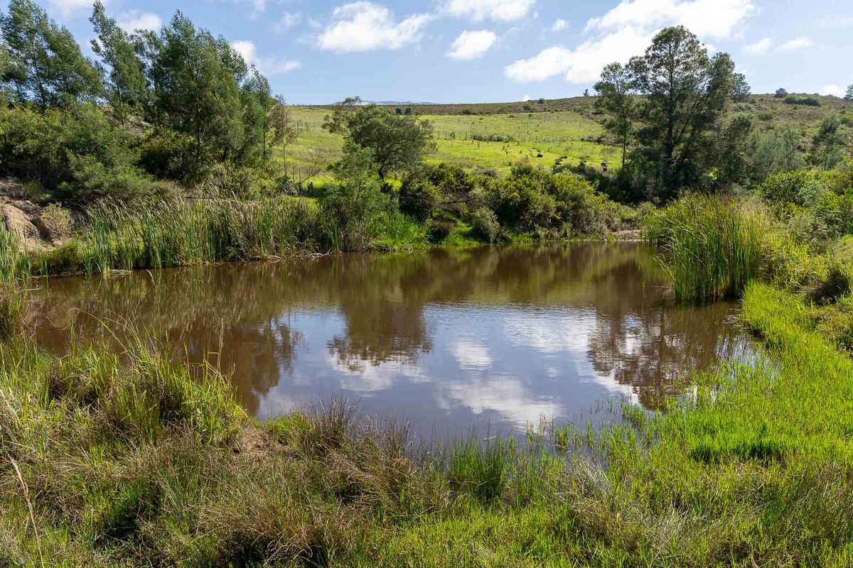 Farm For Sale in Riversdale, Western Cape - Photo 3