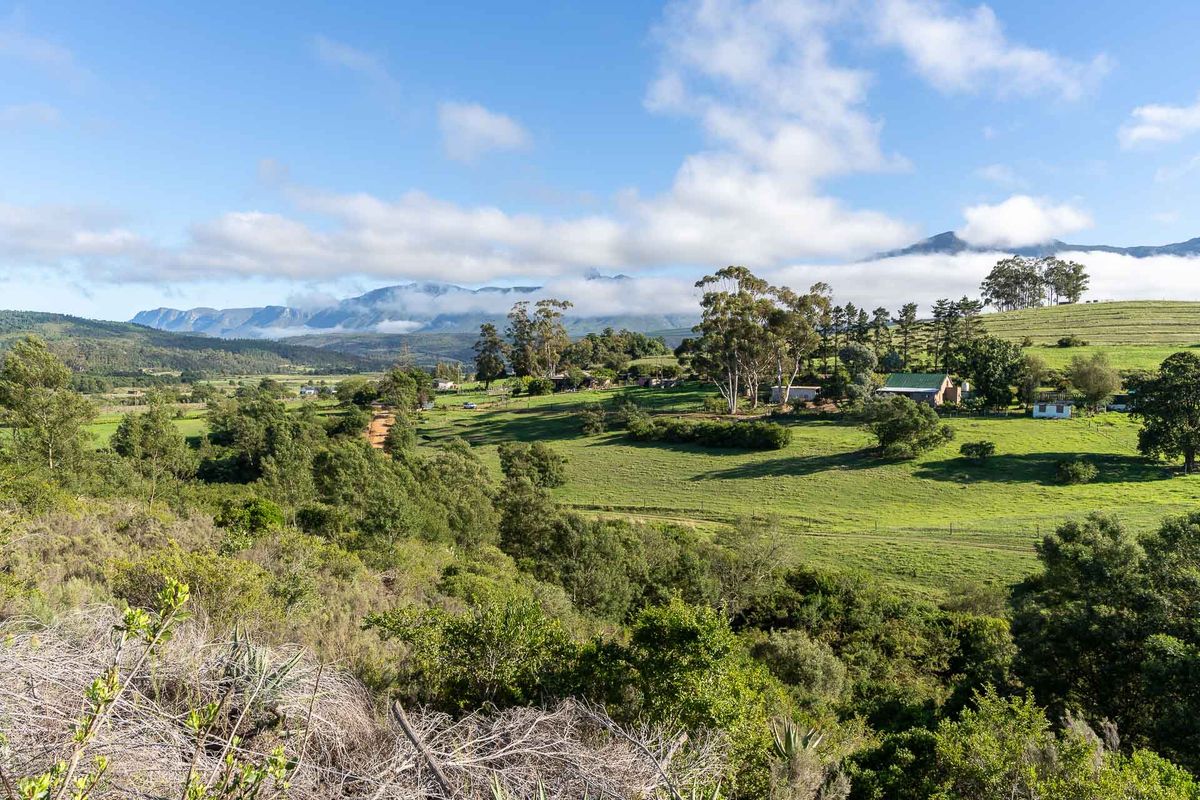 Farm For Sale in Riversdale, Western Cape - Photo 2