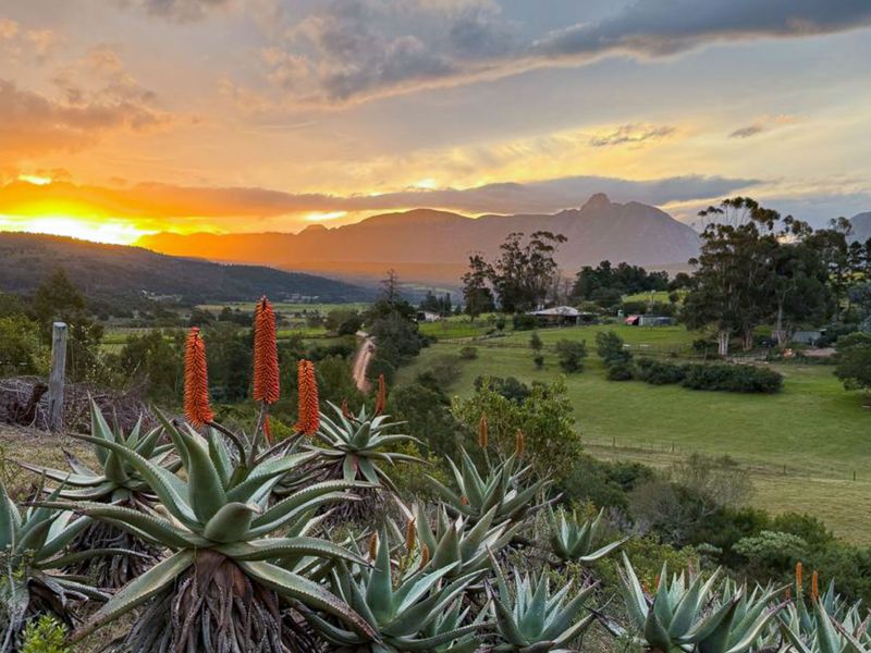 Farm For Sale in Riversdale, Western Cape - Photo 1
