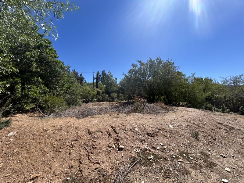 Vacant Land For Sale in McGregor, Western Cape - Photo 4