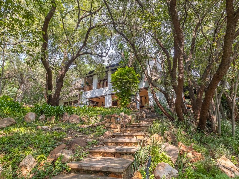 Farm For Sale in Lanseria and surrounds - Photo 4