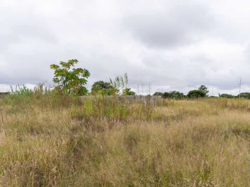 Farm For Sale in Palm AH, Polokwane, Limpopo - Photo 8
