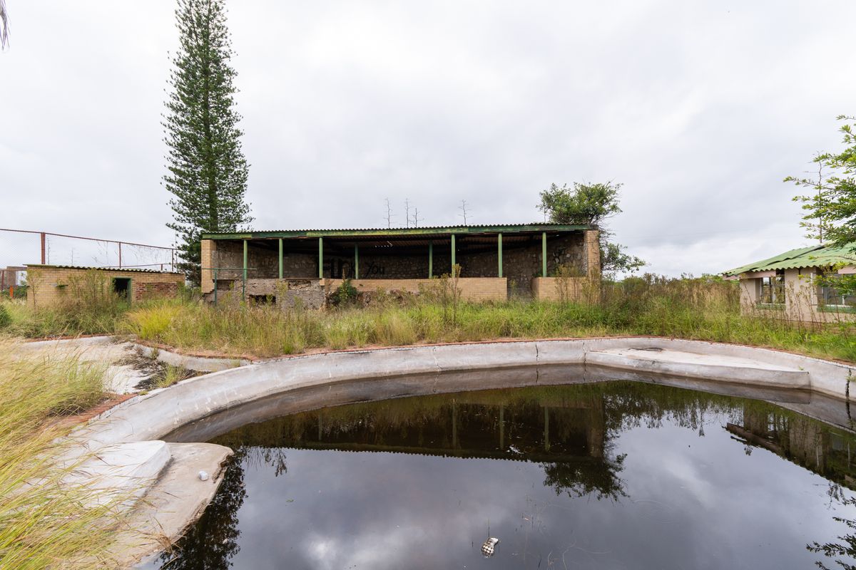 Farm For Sale in Palm AH, Polokwane, Limpopo - Photo 3