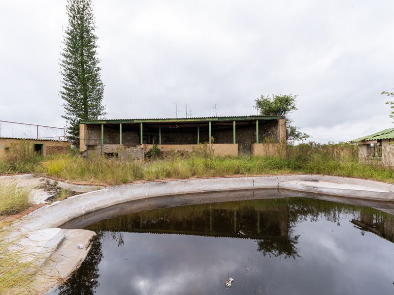 Farm For Sale in Palm AH, Polokwane, Limpopo - Photo 3