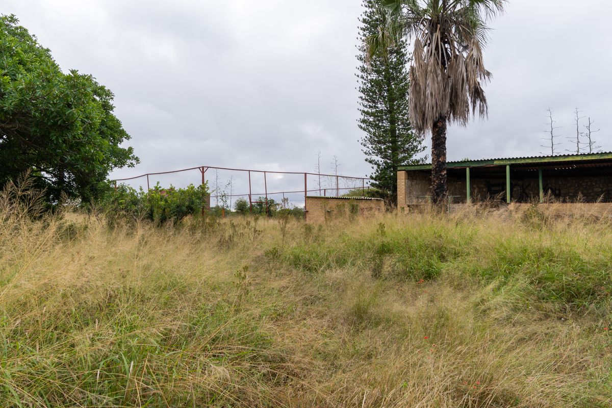 Farm For Sale in Palm AH, Polokwane, Limpopo - Photo 2