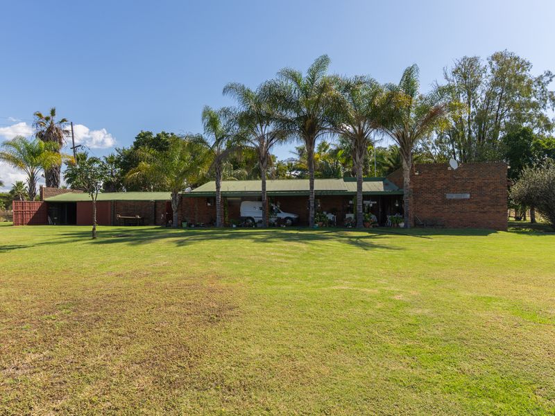 A rear view of a brick farmhouse featuring a covered patio area, expansive lawn, and mature palm trees under a clear blue sky.