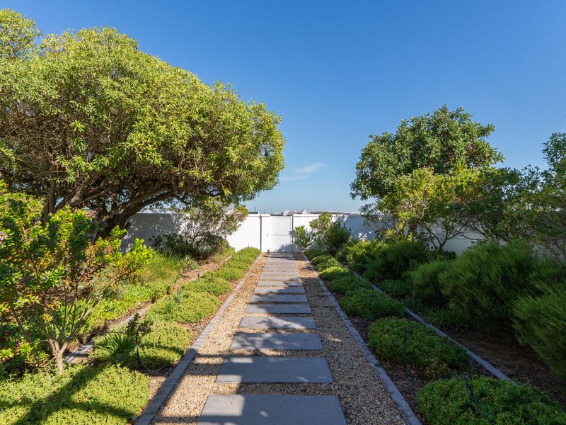 A well-maintained garden path featuring stone pavers set in gravel, bordered by lush established shrubs and a secure boundary wall.