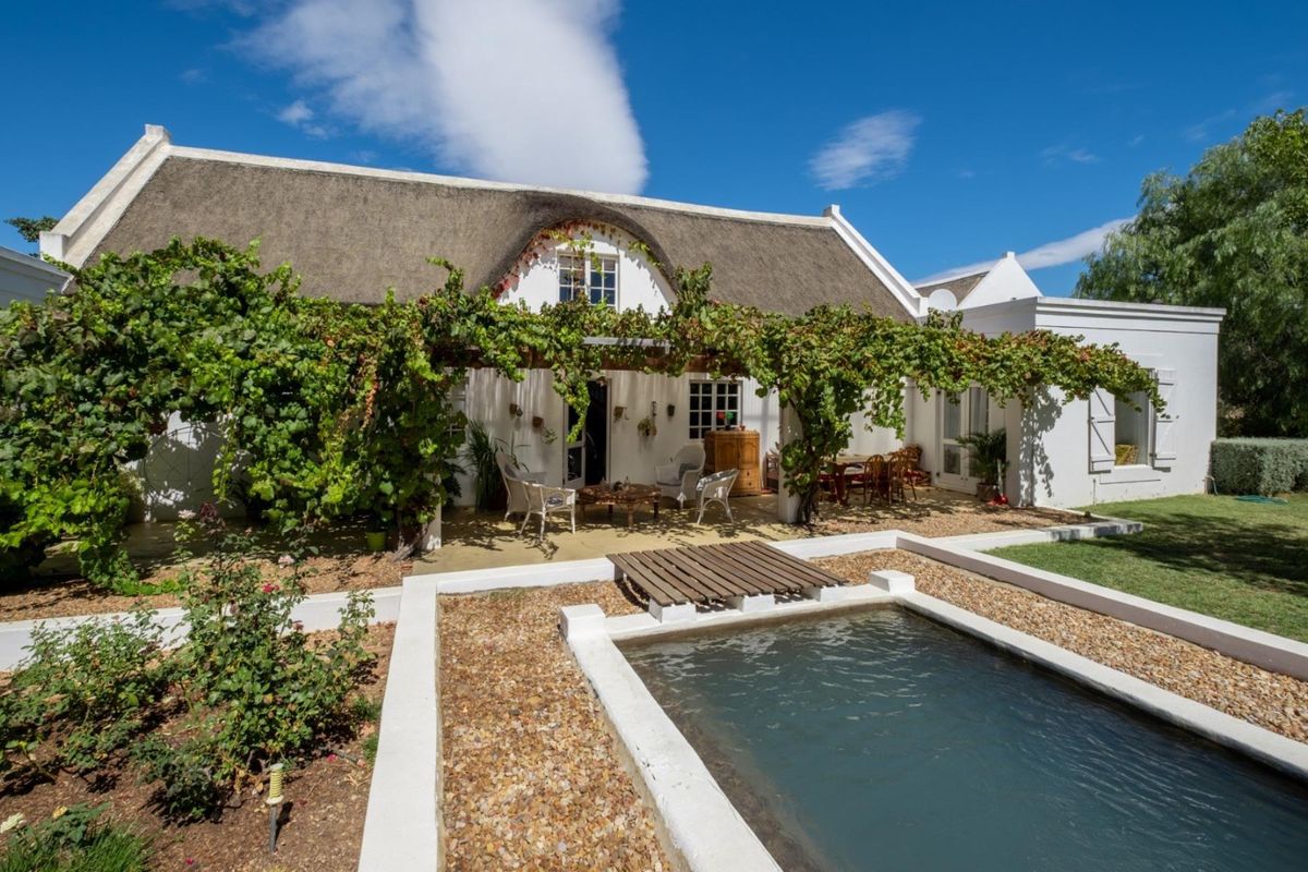 A charming rear exterior view featuring a traditional thatched roof, a vine-covered pergola over a patio, and a small plunge pool set in gravel landscaping.