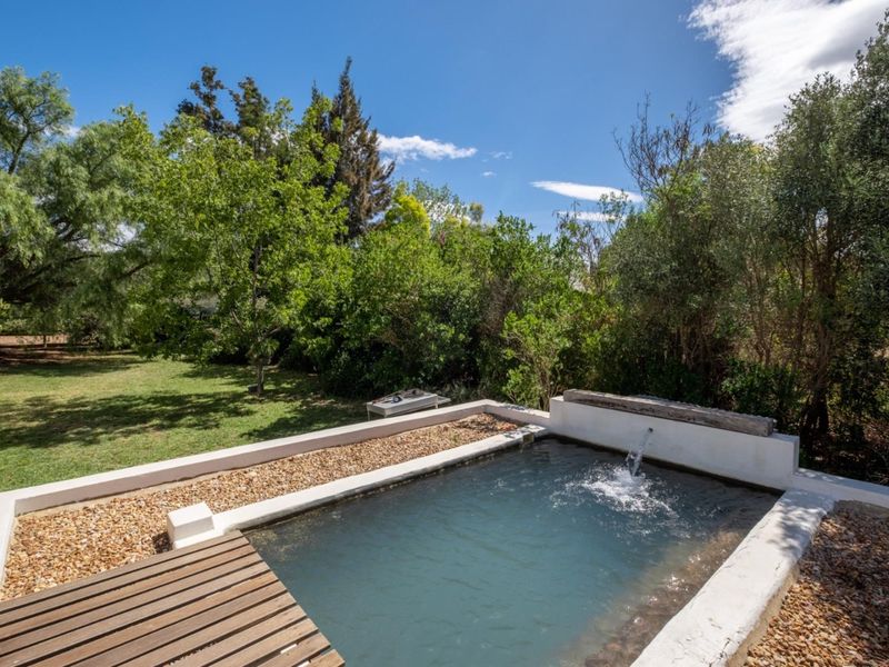 A compact plunge pool featuring a built-in water feature, timber decking, and gravel surround, set within a lush, private garden environment.