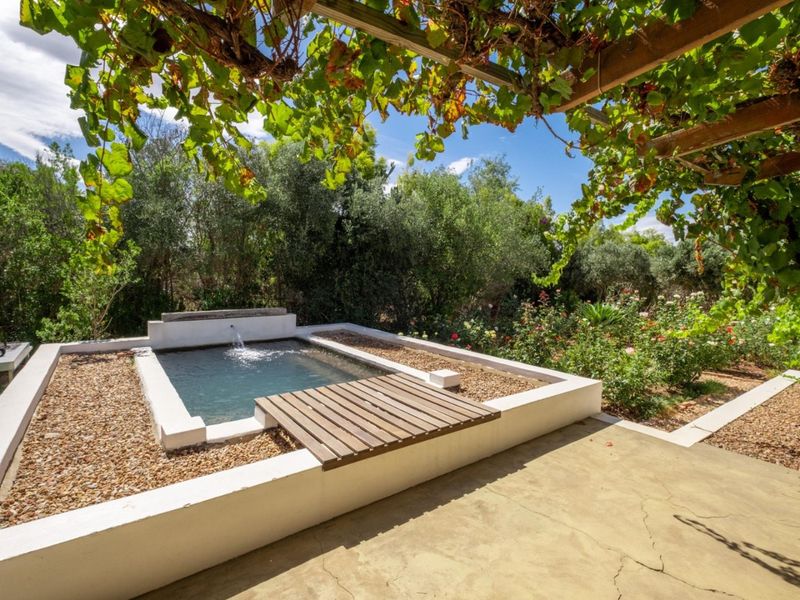 A tranquil outdoor area featuring a small plunge pool with a water feature, timber decking, and a pergola, set within a landscaped garden.