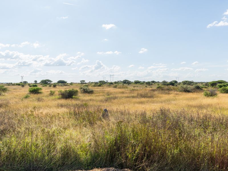 Farm For Sale in Pilgrimshoop AH, Polokwane, Limpopo - Photo 9