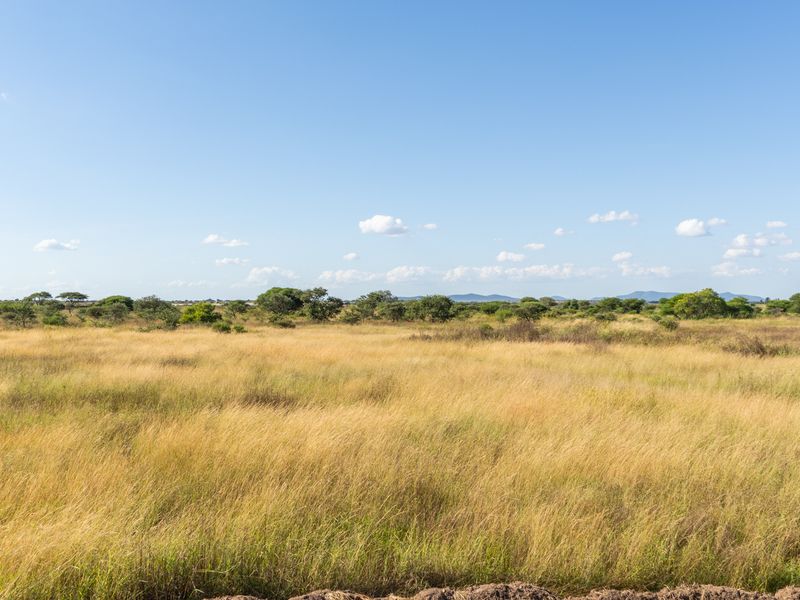 Farm For Sale in Pilgrimshoop AH, Polokwane, Limpopo - Photo 8