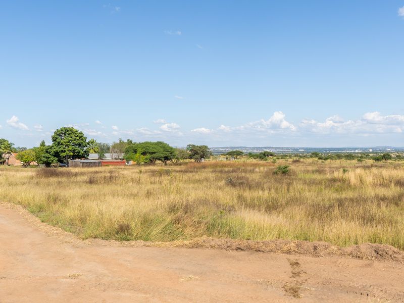 Farm For Sale in Pilgrimshoop AH, Polokwane, Limpopo - Photo 6