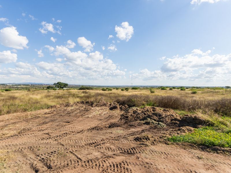 Farm For Sale in Pilgrimshoop AH, Polokwane, Limpopo - Photo 3