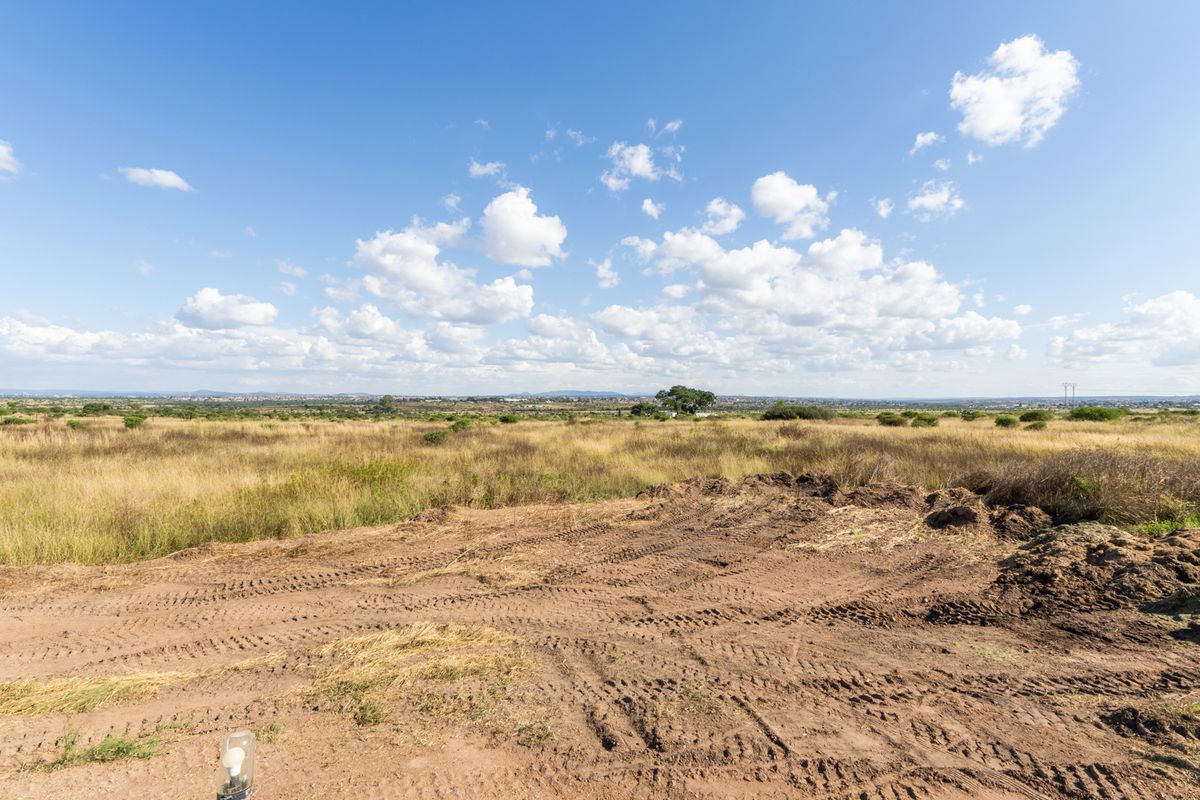 Expansive view of the open farm landscape featuring natural grasslands and a clear horizon under a bright blue sky.
