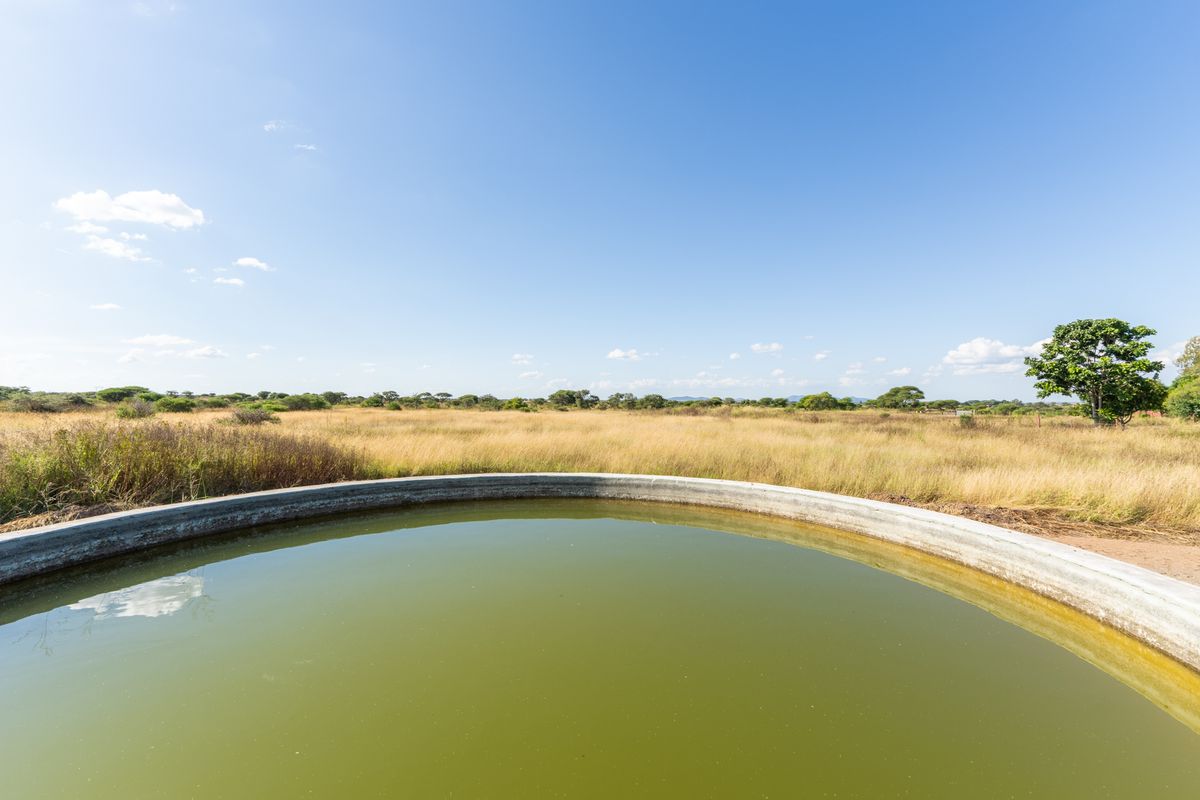 A circular concrete water reservoir situated in an open field, typical of farm infrastructure for irrigation or livestock water supply.