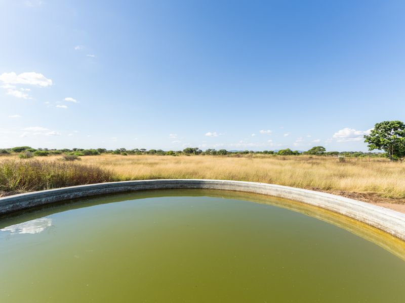 Farm For Sale in Pilgrimshoop AH, Polokwane, Limpopo - Photo 2