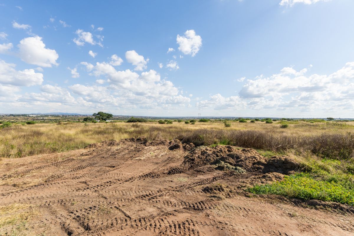 Expansive view of the open farm landscape featuring natural grasslands and clear horizon under a bright blue sky.