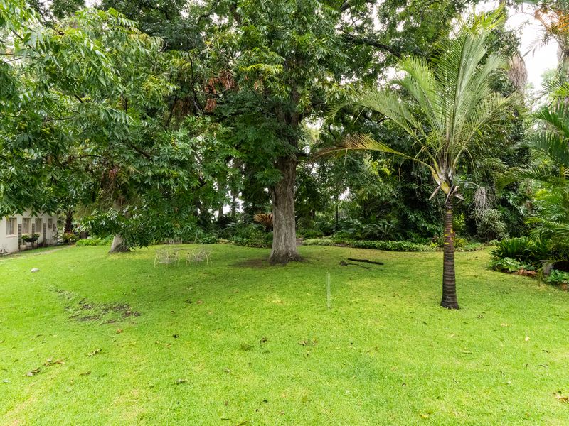 Farm For Sale in Tweefontein AH Polokwane Limpopo - Photo 4