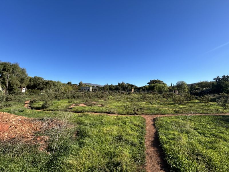 Vacant Land For Sale in McGregor, Western Cape - Photo 5