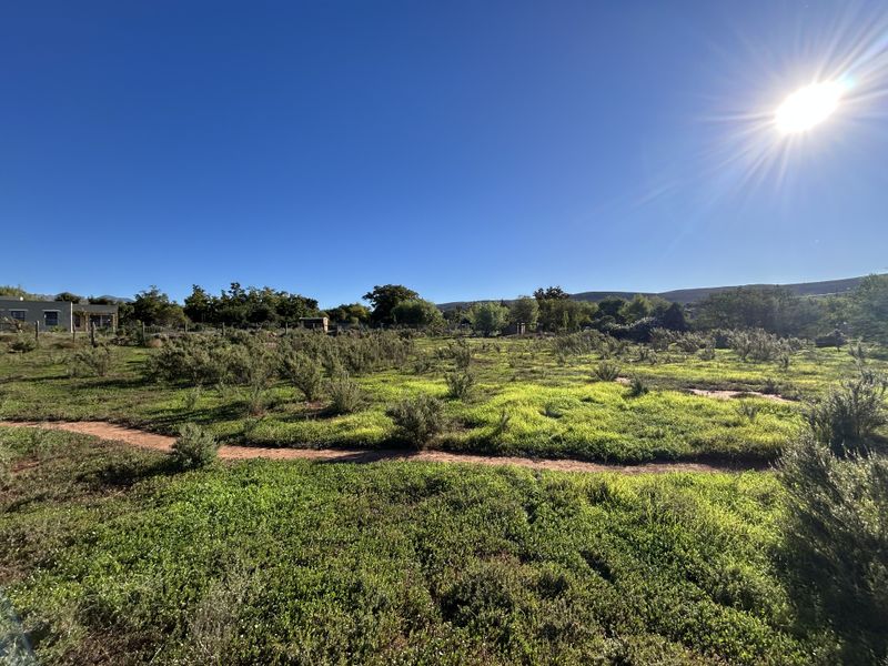 Vacant Land For Sale in McGregor, Western Cape - Photo 4
