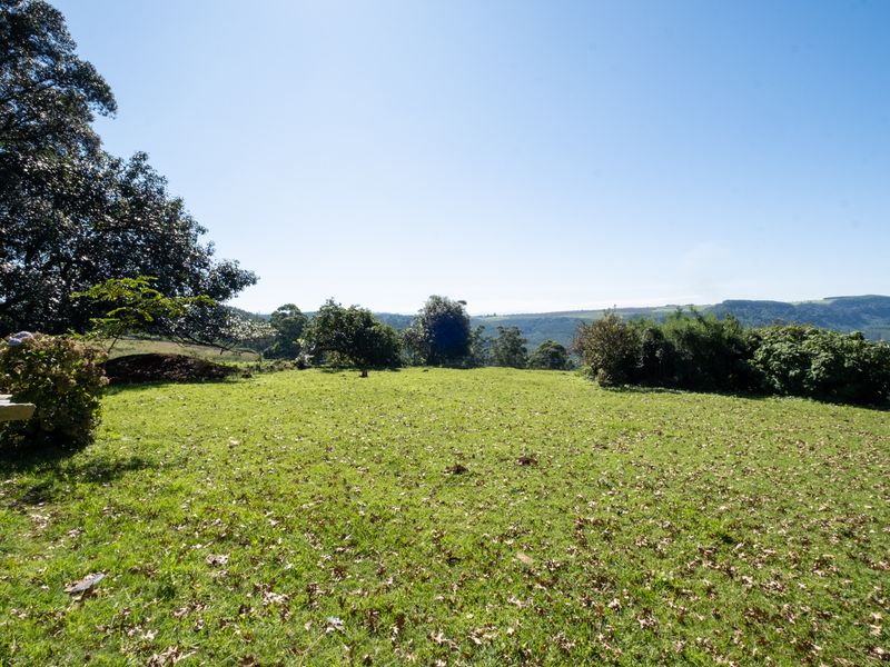 Calling All Developers! - Photo 4