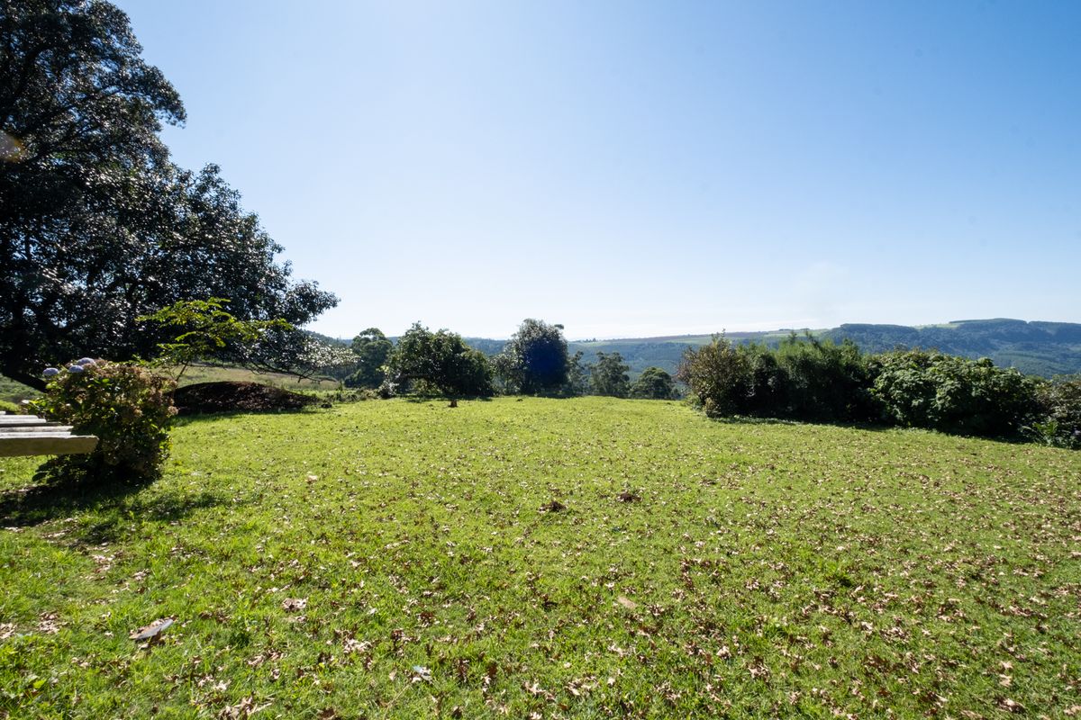 Calling All Developers! - Photo 4