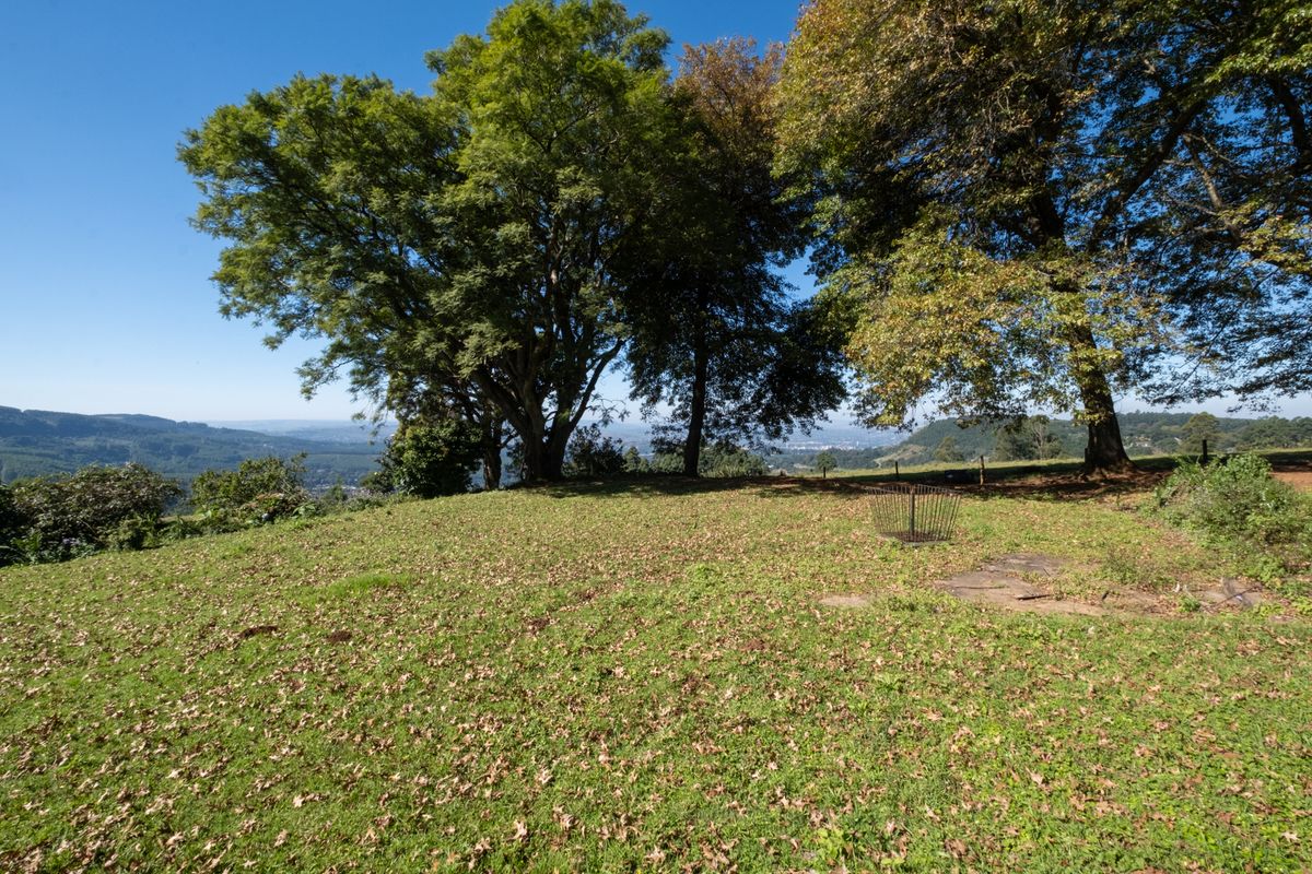 Calling All Developers! - Photo 2