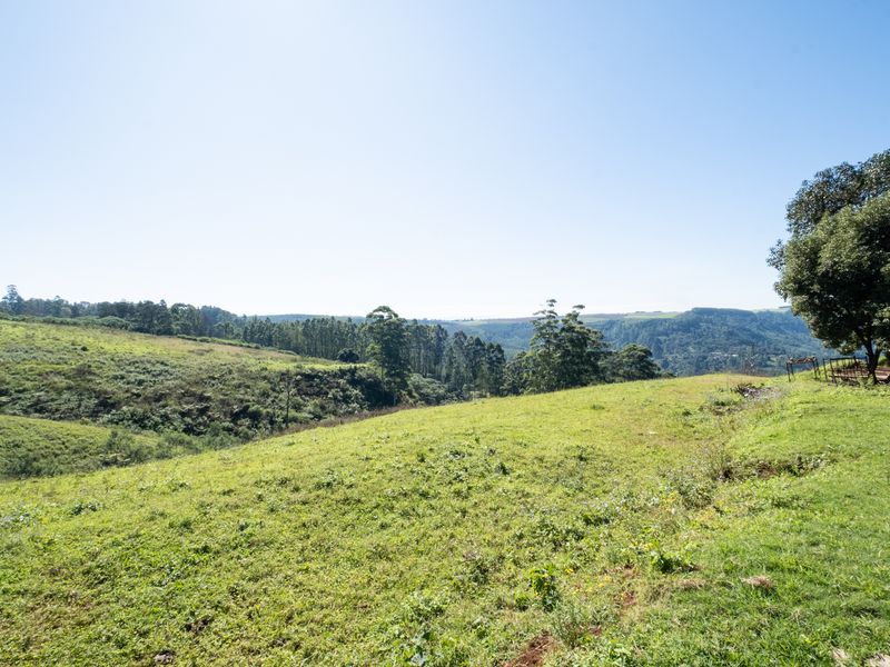 Calling All Developers! - Photo 10