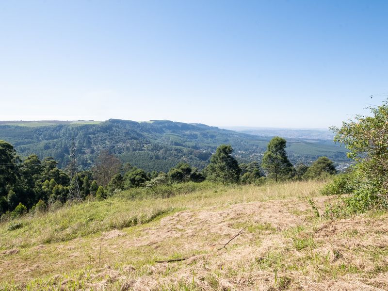 Calling All Developers! - Photo 8