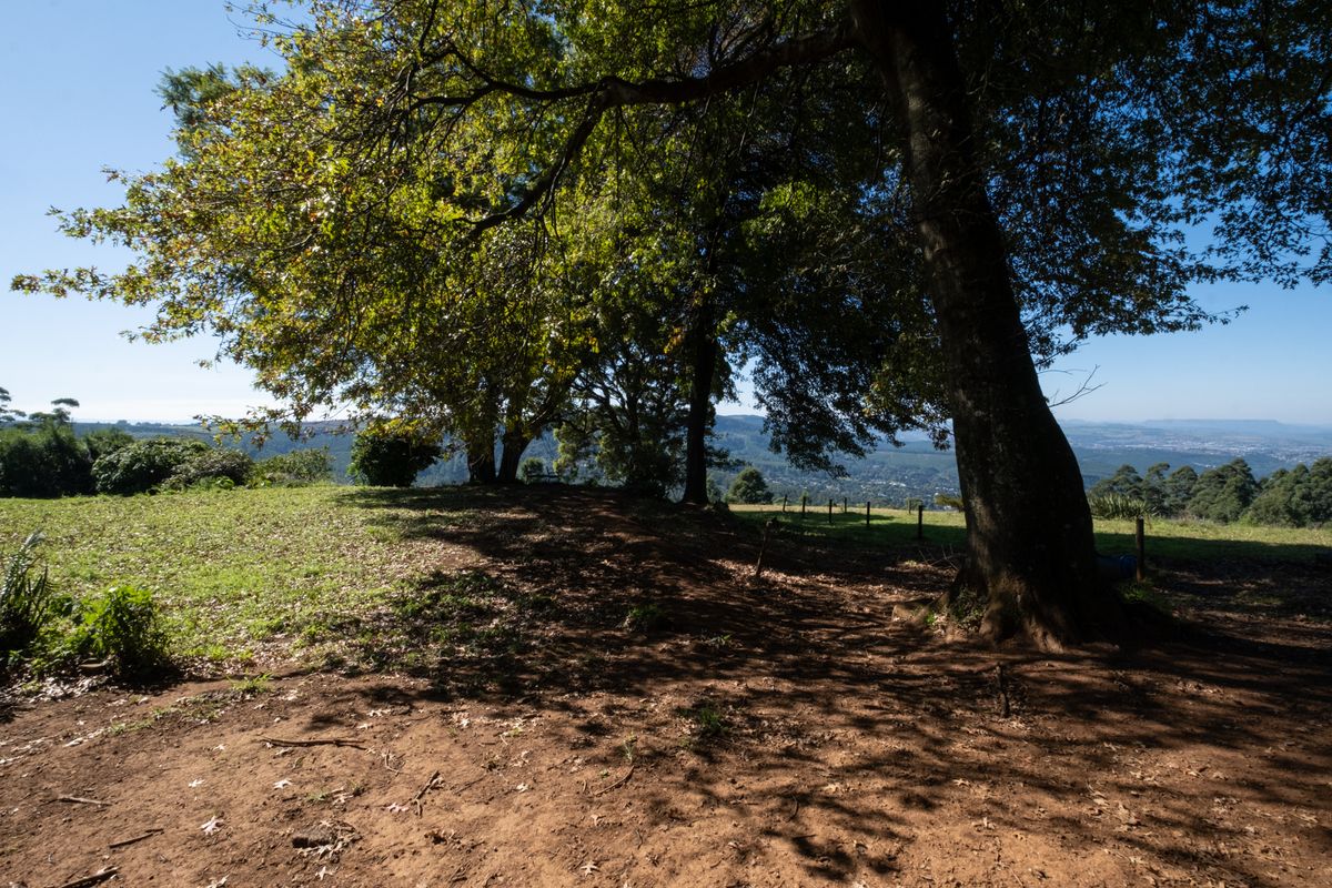 Calling All Developers! - Photo 5