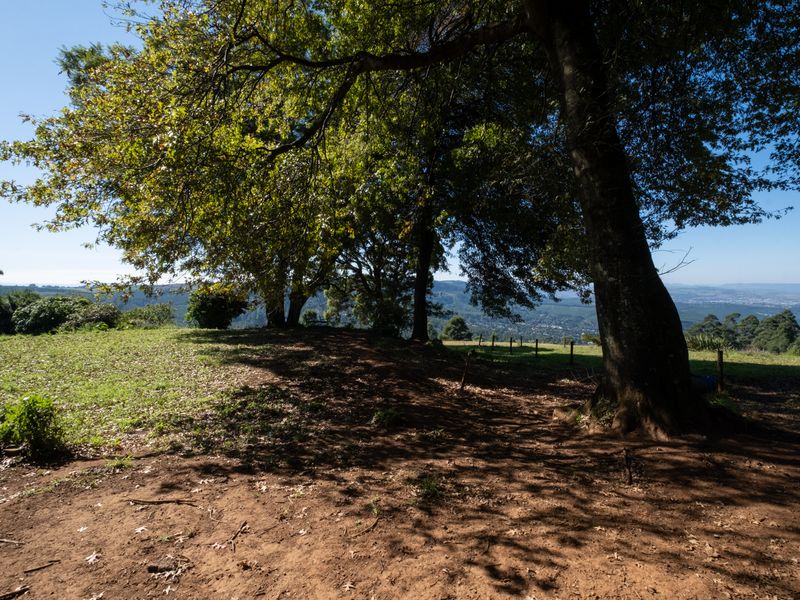 Calling All Developers! - Photo 5