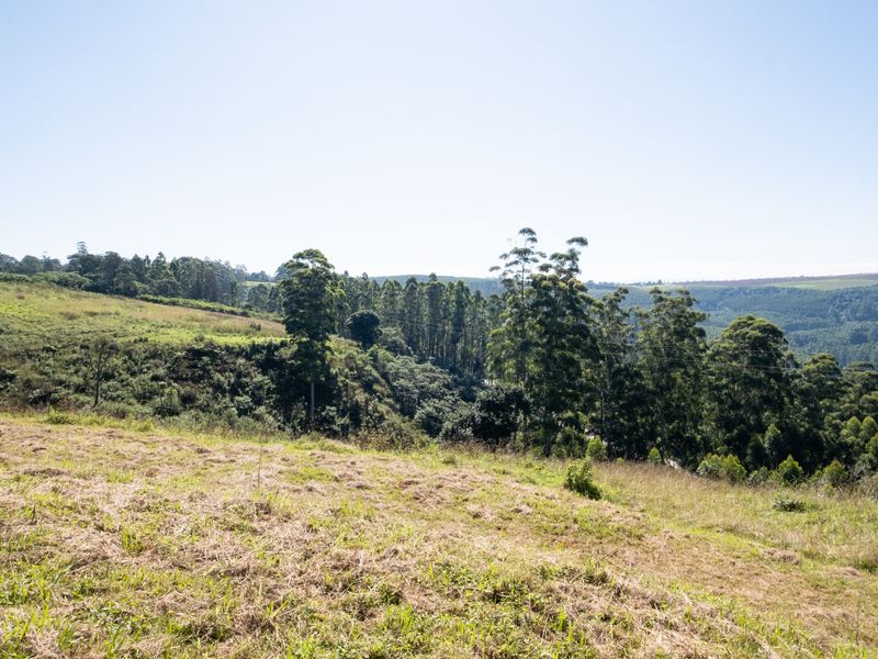 Calling All Developers! - Photo 6