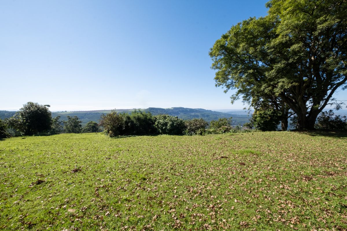 Calling All Developers! - Photo 3