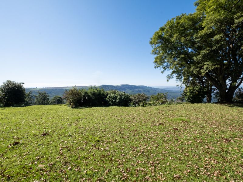 Calling All Developers! - Photo 3