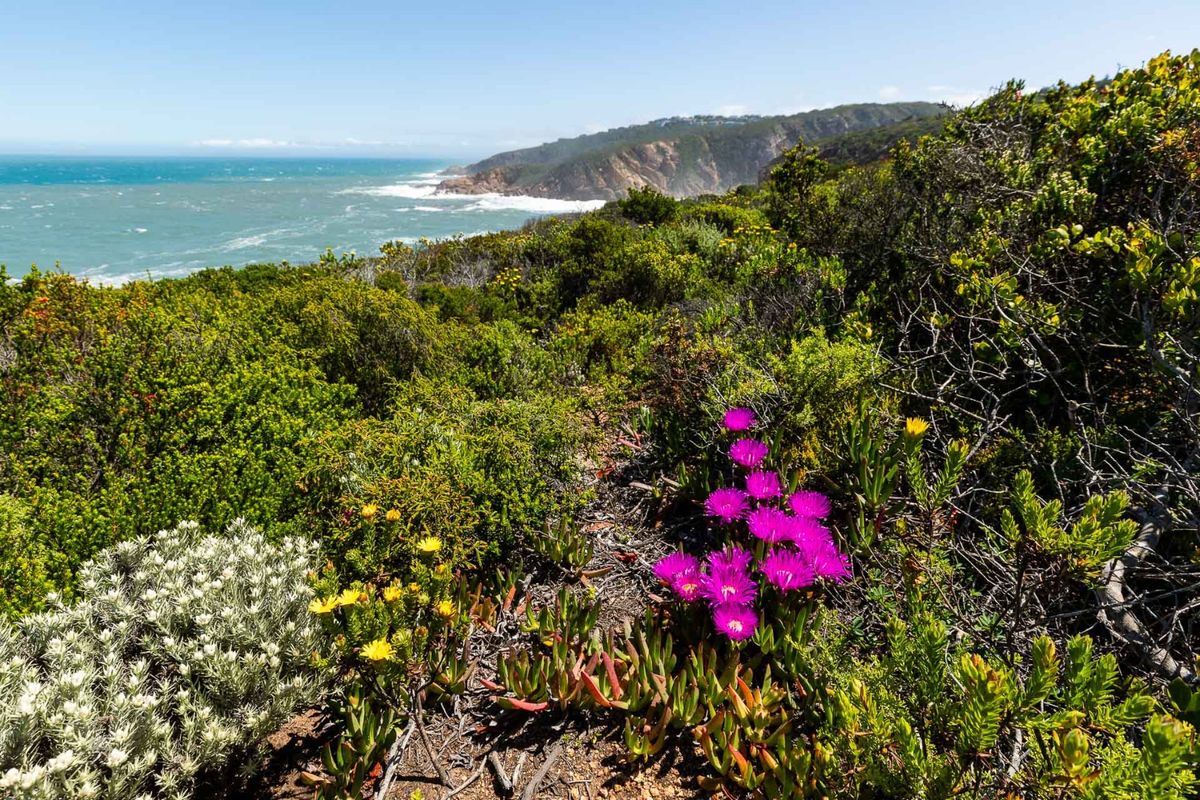 Vacant Land For Sale in Le Grand Estate, George, Western Cape - Photo 4