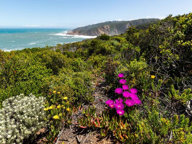Vacant Land For Sale in Le Grand Estate, George, Western Cape - Photo 4