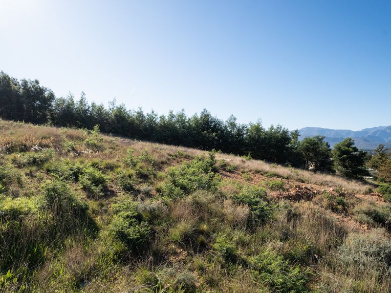Vacant Land For Sale in Johannesdal, Stellenbosch, Western Cape - Photo 10