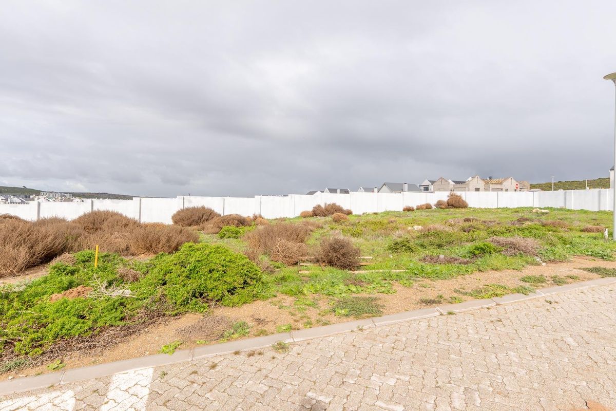 Plot and Plan Opportunity in Laguna Dunes – Excellent Investment - Photo 3