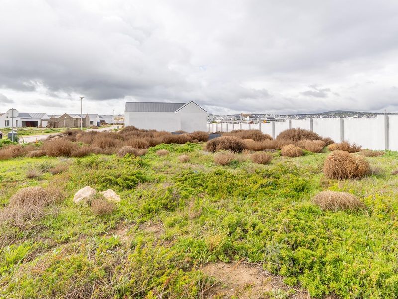 Plot and Plan Opportunity in Laguna Dunes – Excellent Investment - Photo 10