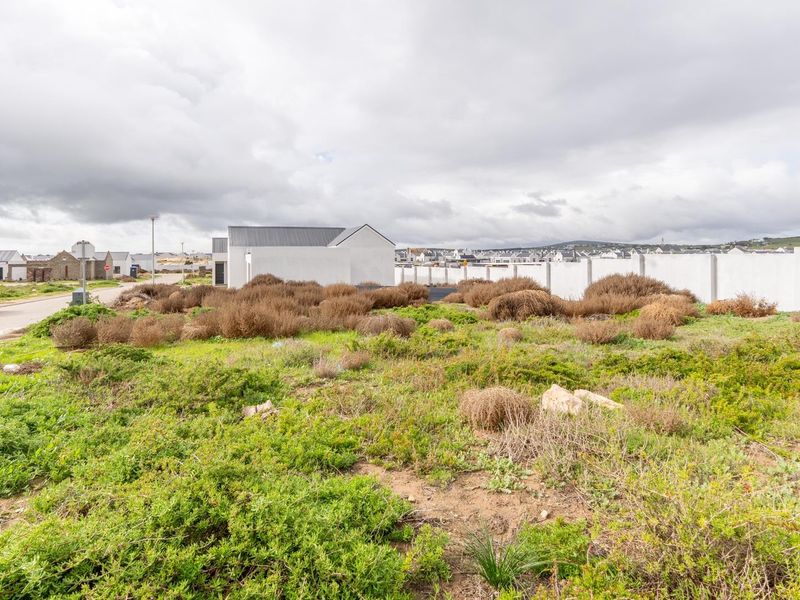 Plot and Plan Opportunity in Laguna Dunes – Excellent Investment - Photo 9