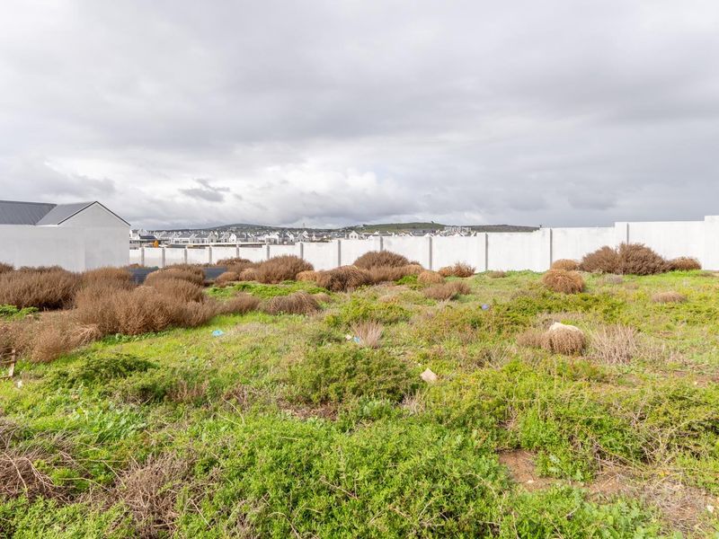 Plot and Plan Opportunity in Laguna Dunes – Excellent Investment - Photo 8